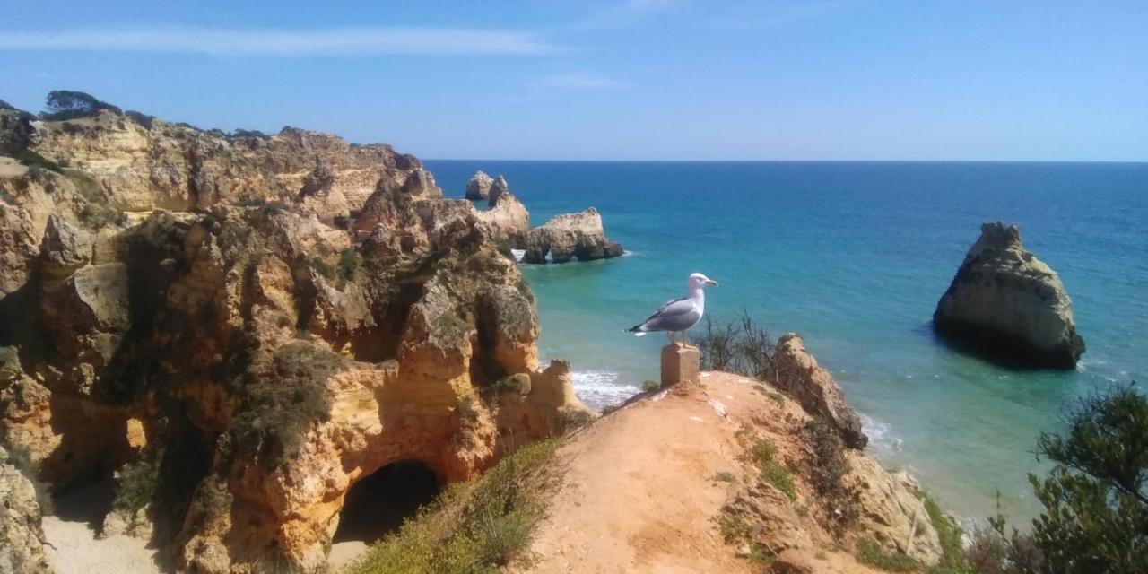 Alburvillage A - Apartamento Novo Em Alvor Bagian luar foto